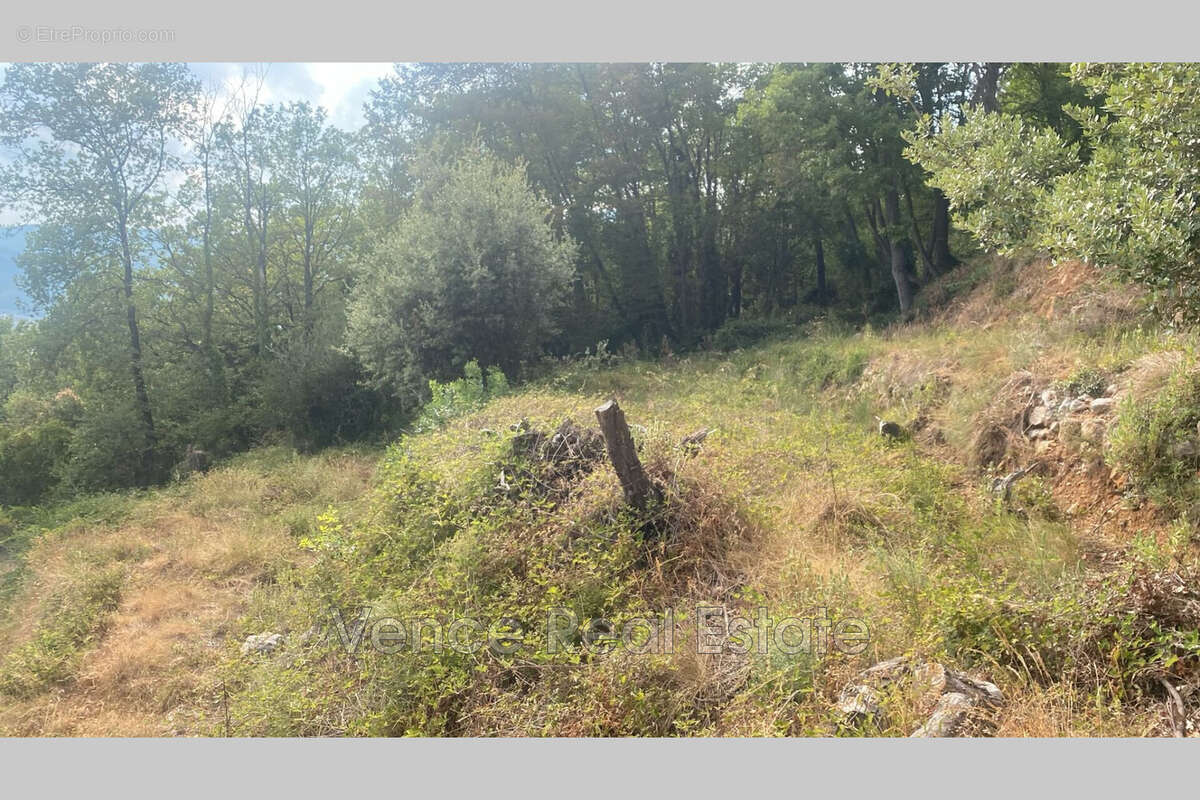 Terrain 5092 m² à Tourrettes-Sur-Loup  - photo 9