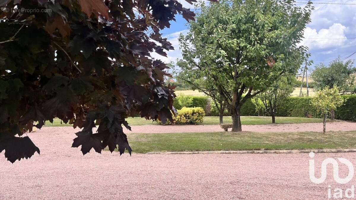 Photo 6 - Maison à UXEAU