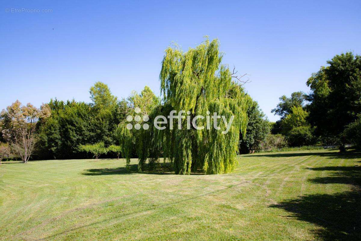 Maison 608 m² à Baix  - photo 19