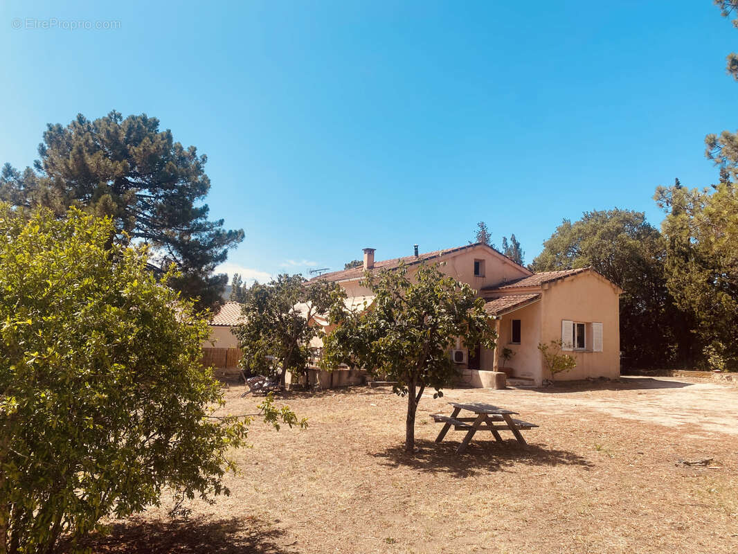 Maison à PORTO-VECCHIO