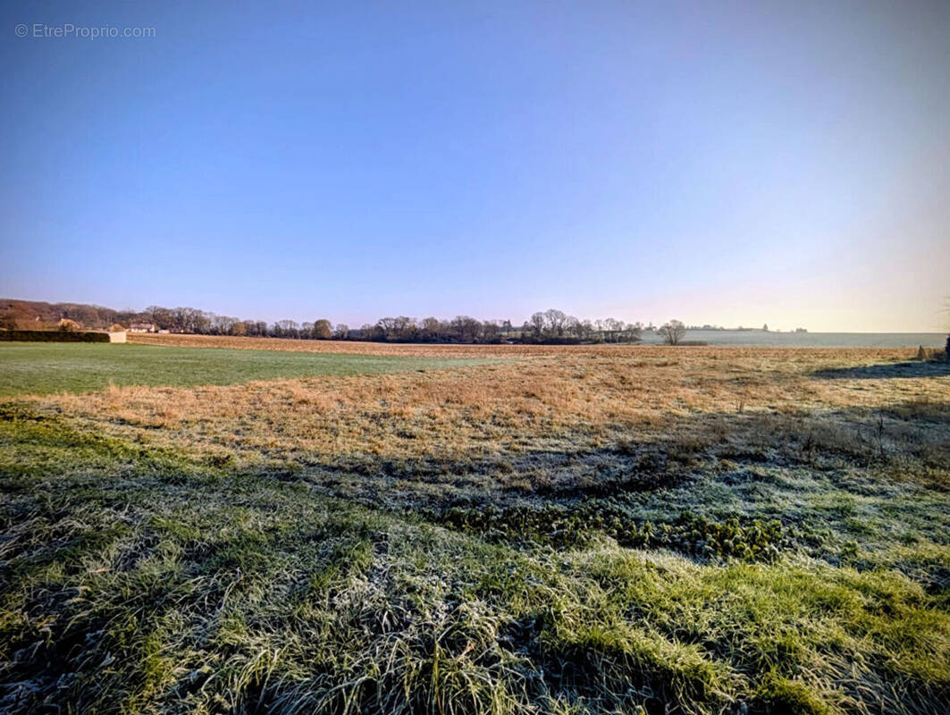 Terrain à SERMAIZE