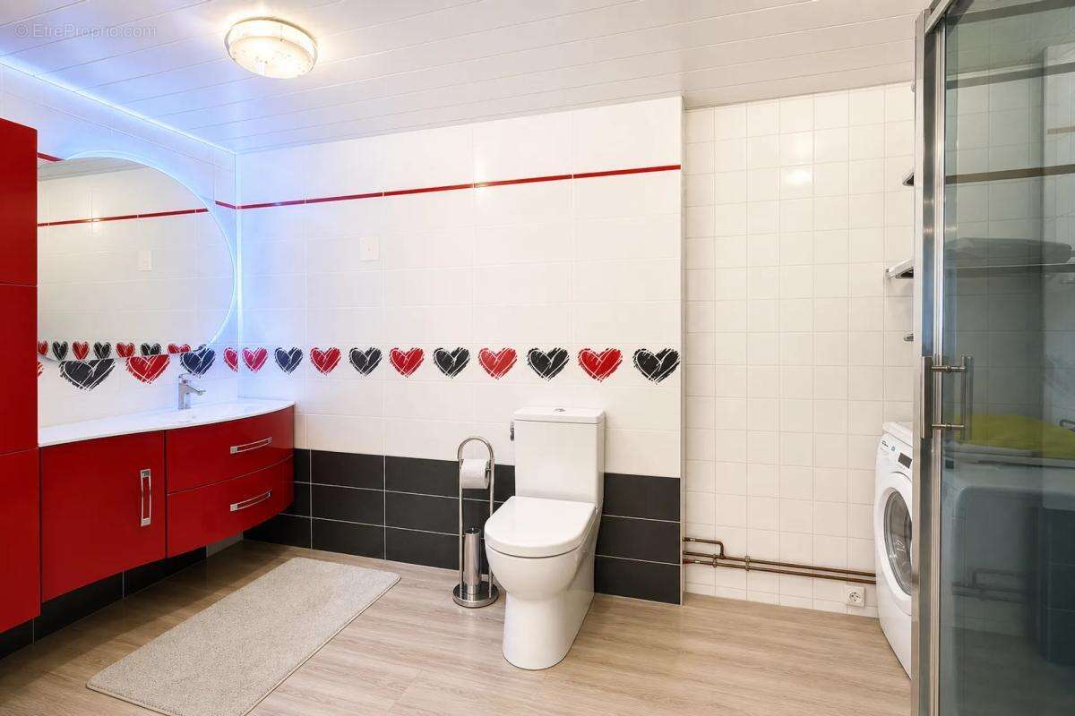 Les abrets-en-dauphiné (38490) – propriété atypique – 335 m² - photo 23
