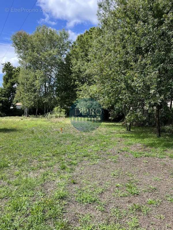 Terrain à SAINT-AIGNAN-GRANDLIEU