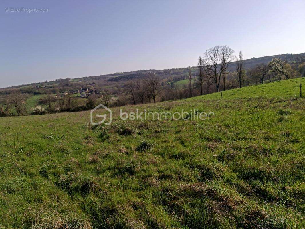  Plus d'un hectare de liberté à Nailhac : Terrain XXL avec double zone constructible ! - photo 2