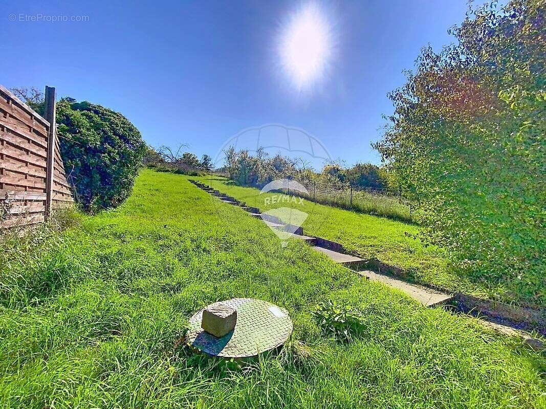 Maison à VILLENEUVE-SUR-YONNE