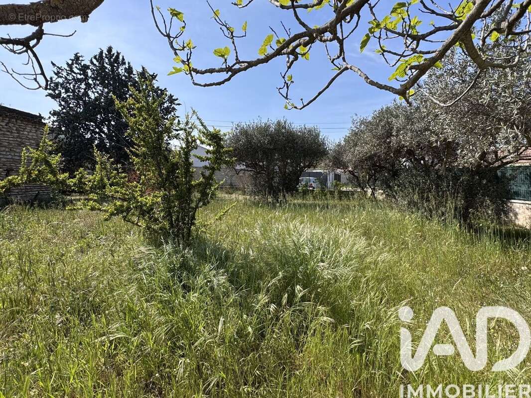 Photo 2 - Terrain à CAVAILLON