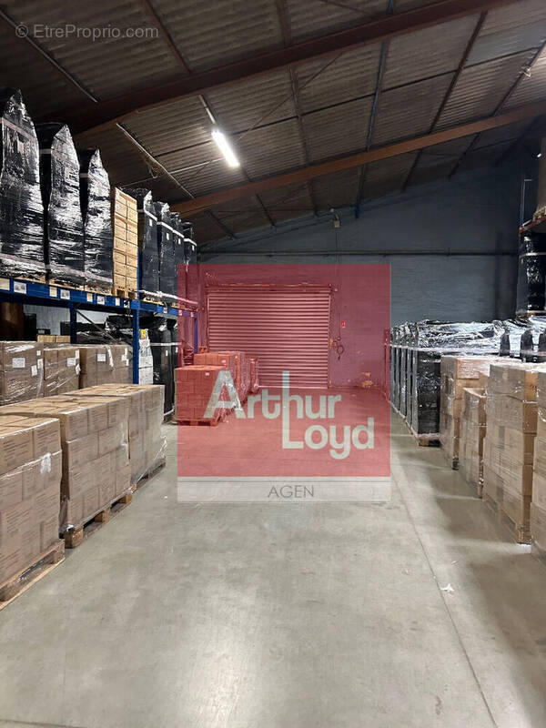 Commerce à FLEURANCE