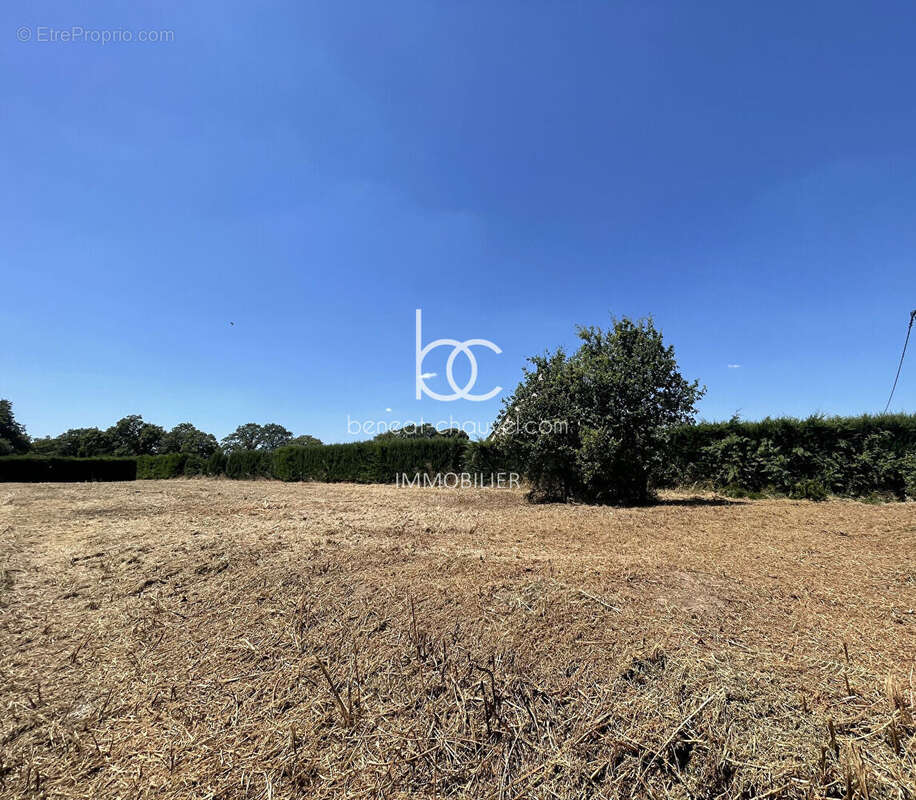 RARE : Grand Terrain Constructible (1438 m²) Hors Lotissement à La Trinité-Surzur - photo 3
