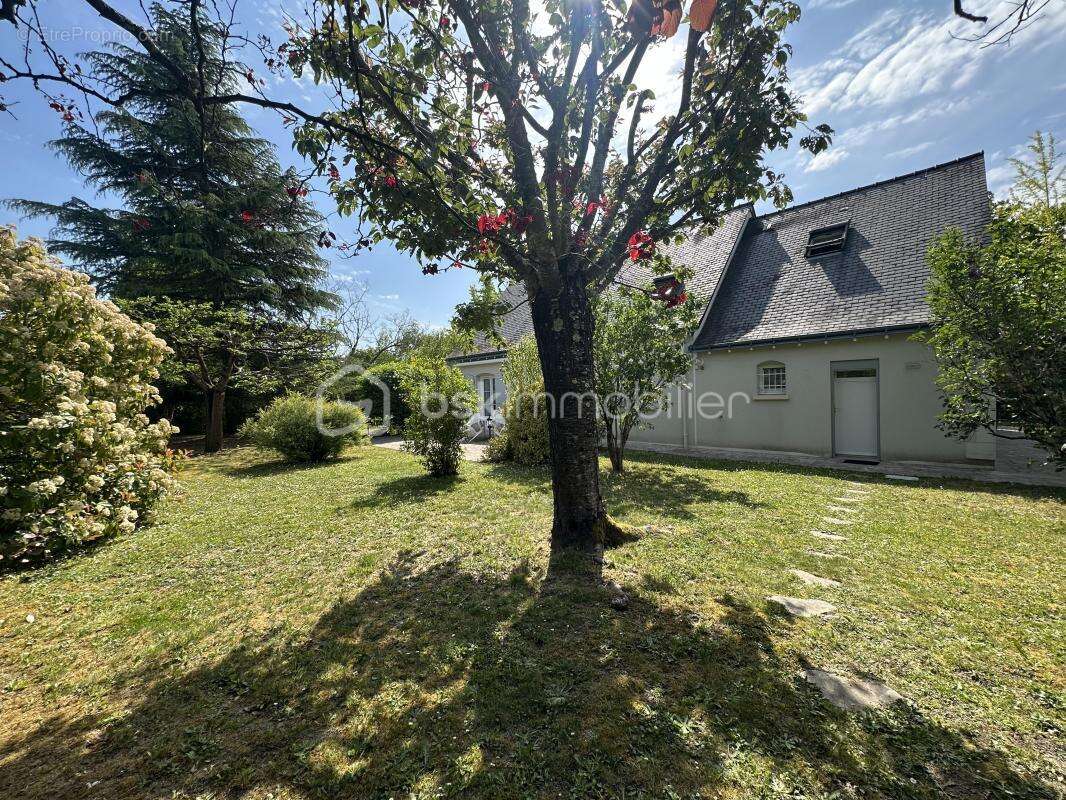 ***Exclusivité Aurélien Le Déaut by Bsk Immobilier*** - photo 6