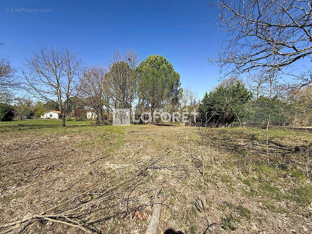 Terrain à VILLEMATIER