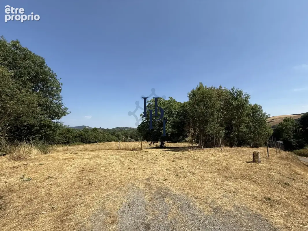 Vente Maison avec dépendances et terrains Montaigut - photo 19