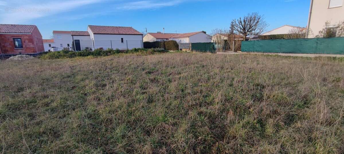 Terrain 375 m² à Vaux-Sur-Mer  - photo 2