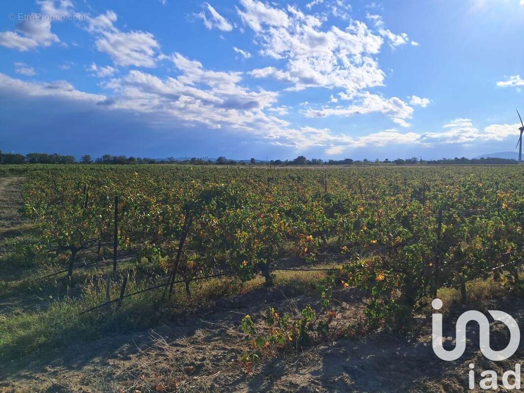 Photo 5 - Terrain à CANET