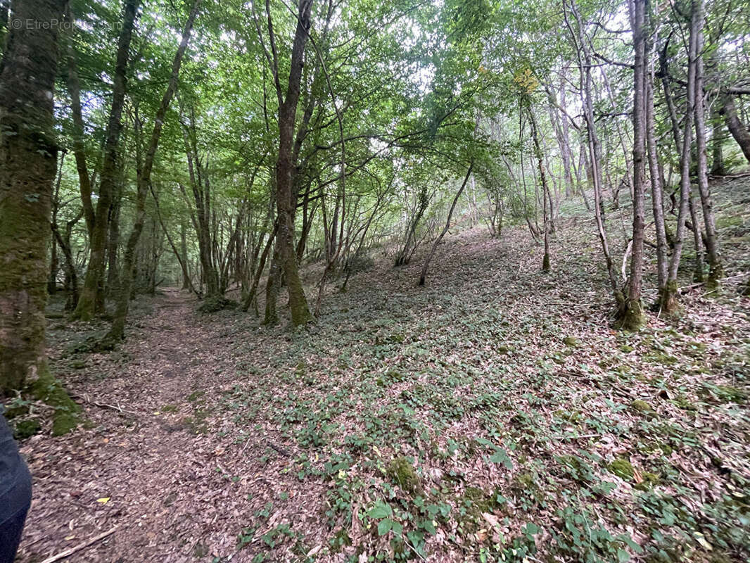 Terrain à PERIGUEUX