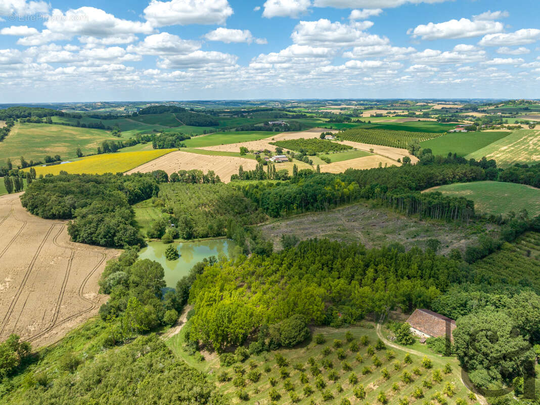 Terrain à MONCLAR