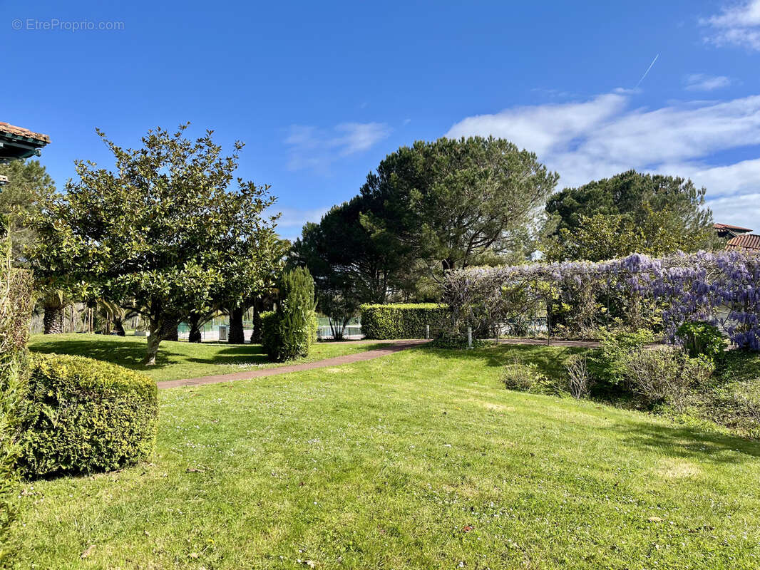 Appartement à URRUGNE