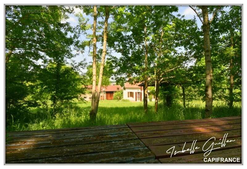 Maison à SAINT-MAUR