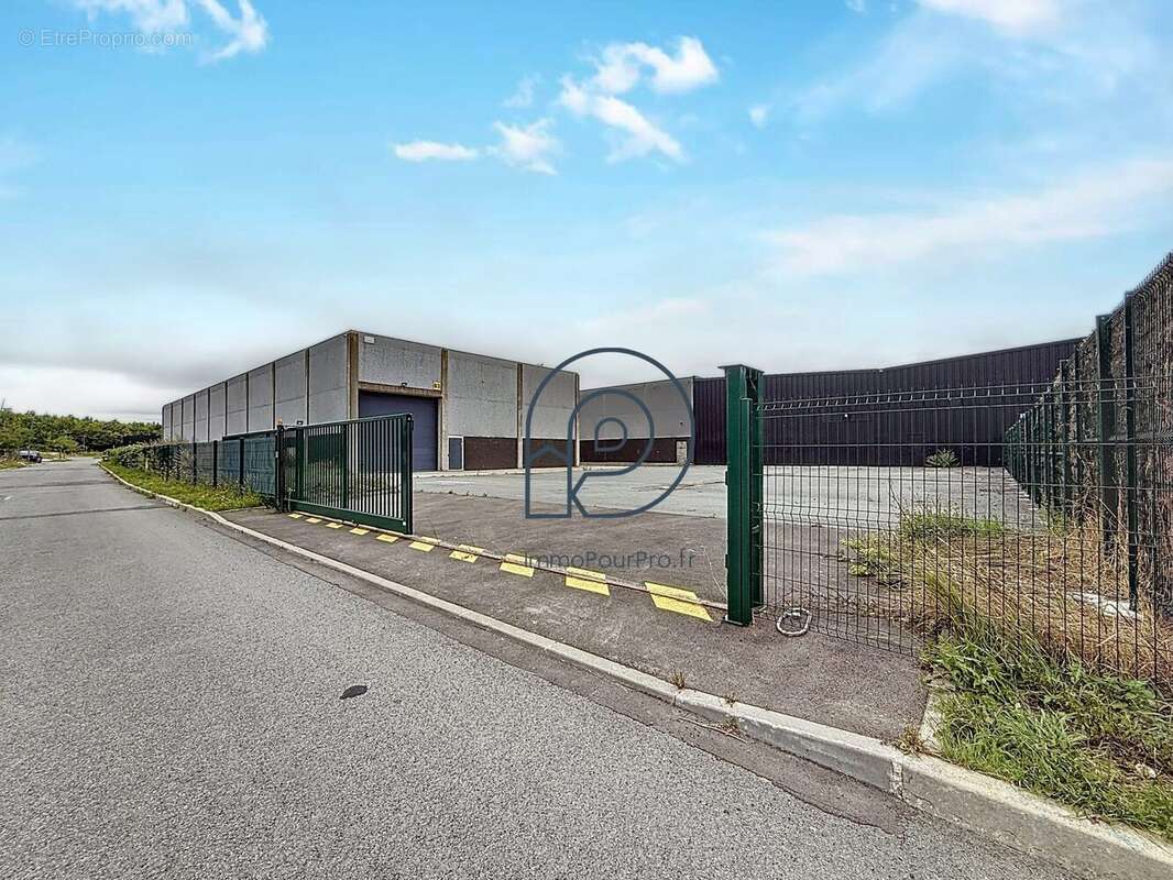 Commerce 1000 m² à Cysoing  - photo 5