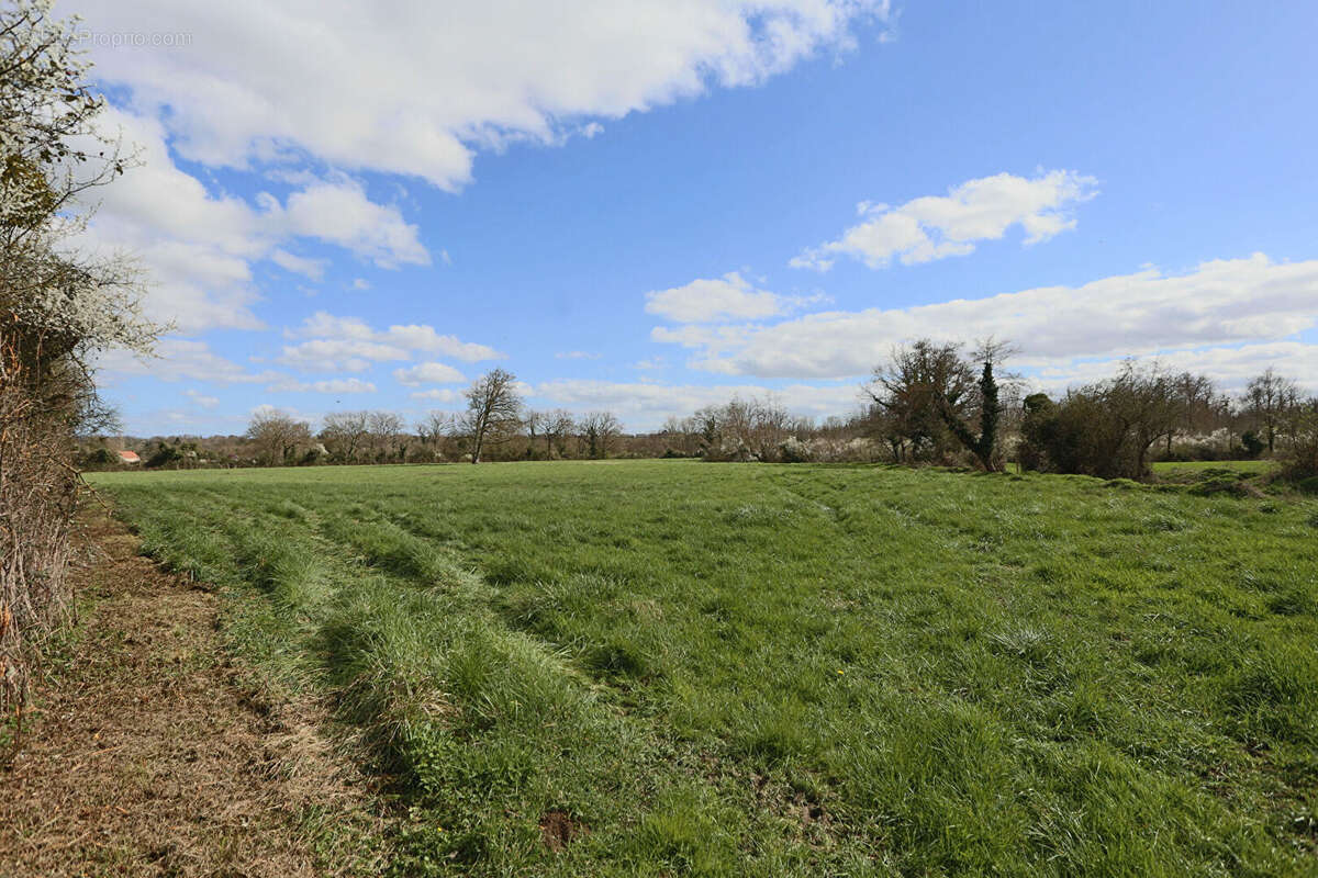 Terrain à SAINT-GERMAIN-DE-SALLES