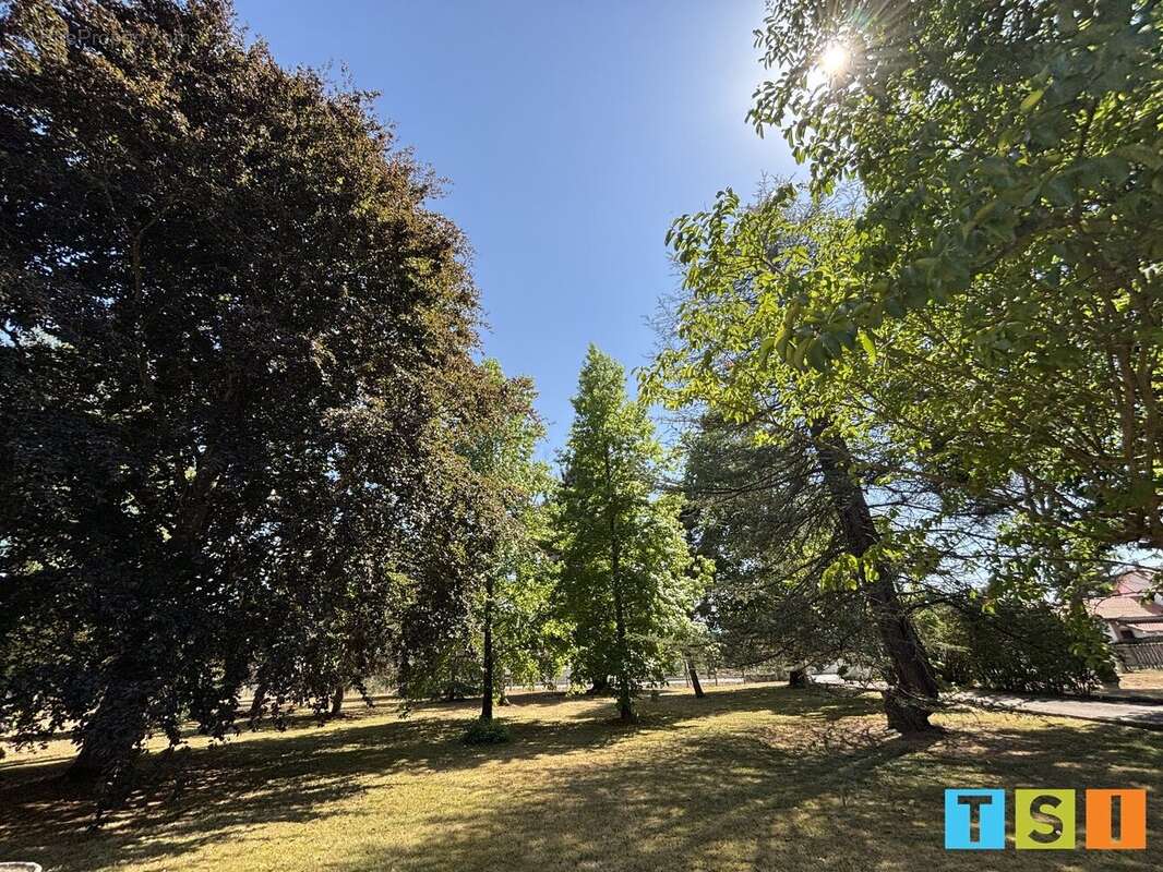 Maison de caractère de plus de 220 m² avec piscine et parc arboré de 6 725 m² - photo 20