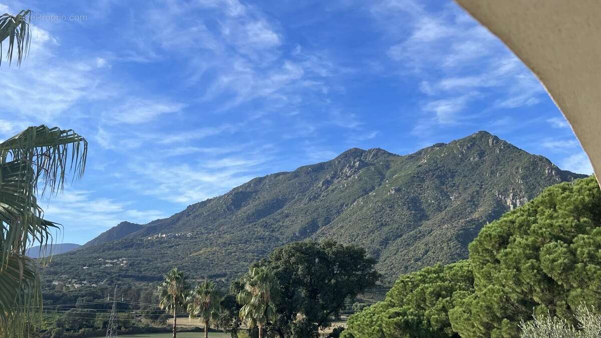 Appartement à SAN-NICOLAO