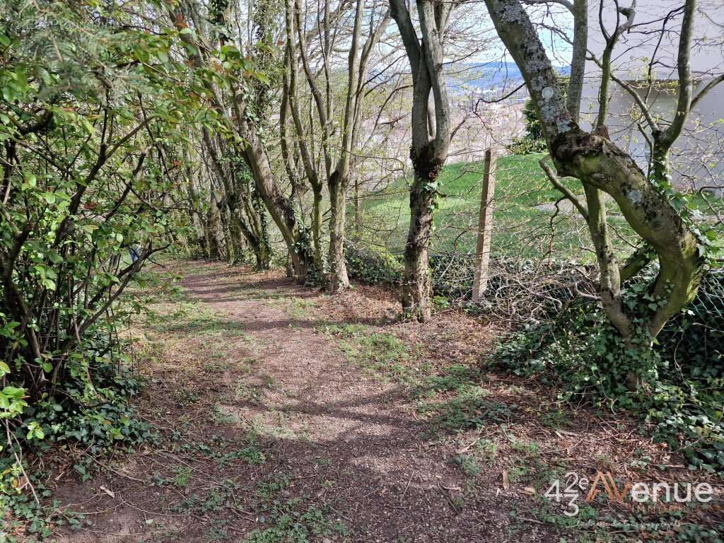 Terrain à SAINT-ETIENNE