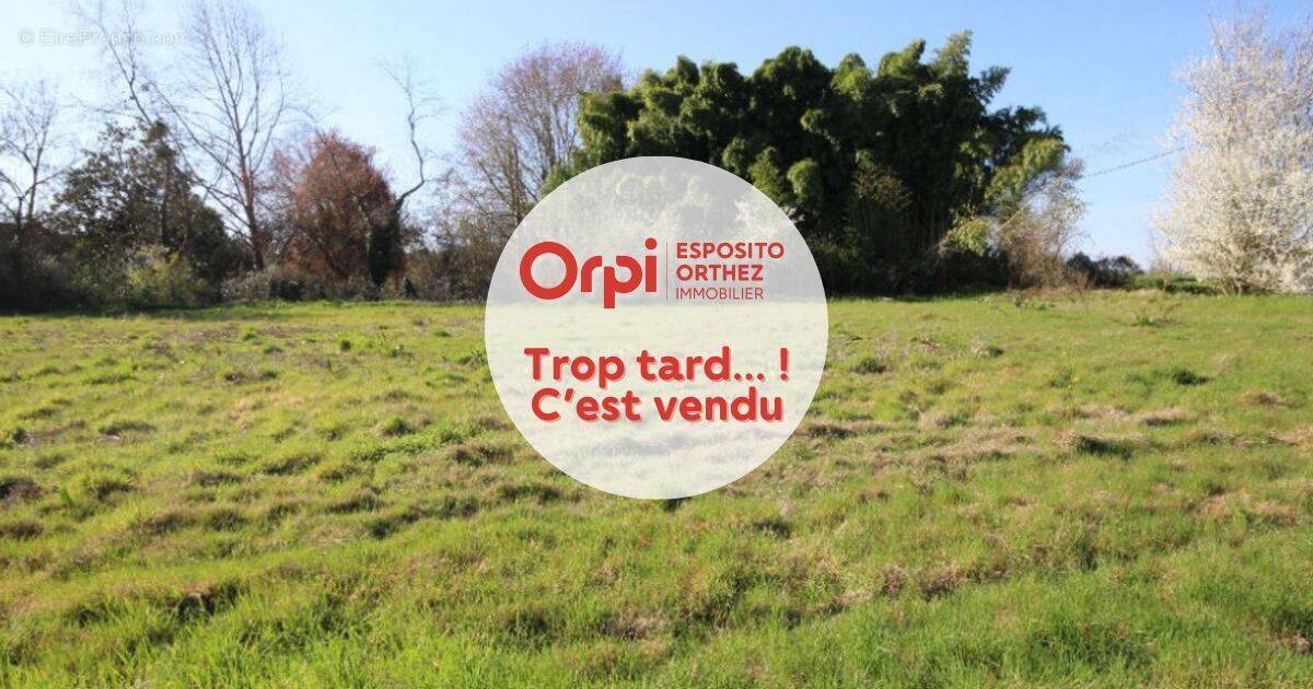 Terrain à VIELLESEGURE