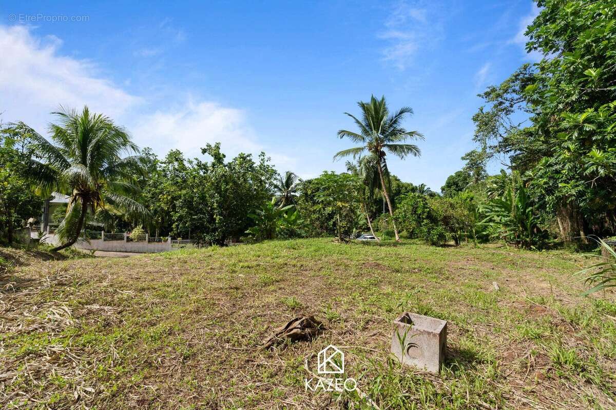 Terrain à LE LAMENTIN