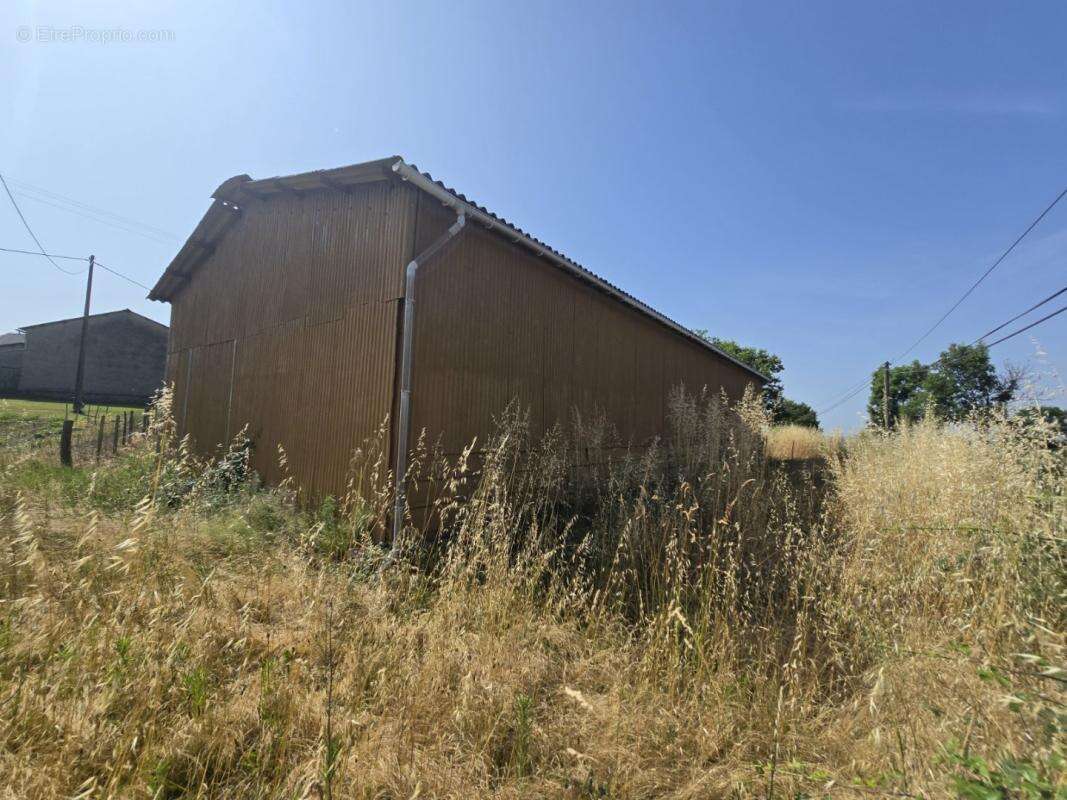 Commerce à SAUVETERRE-DE-ROUERGUE