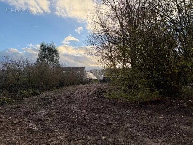 Terrain à ARRAS