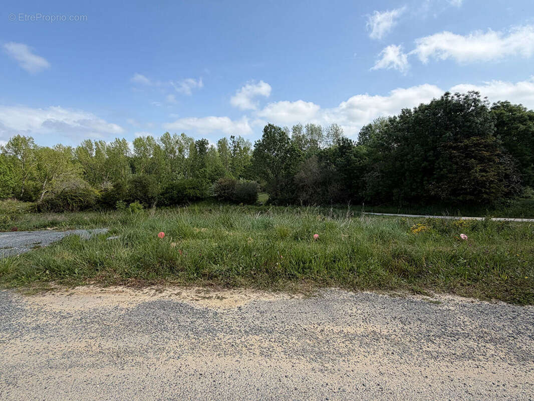Terrain Vaux Sur Mer 480 m2 - photo 2