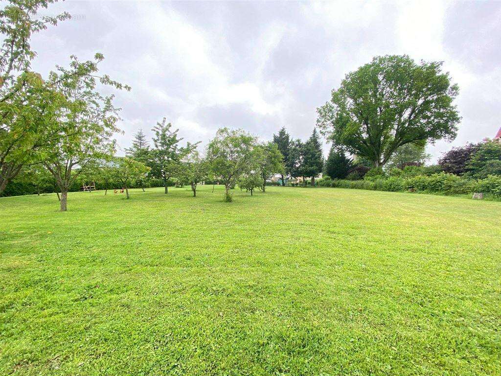 Magnifique terrain plat d'une surface de 2521 m² - Terrain à MONTHENAULT