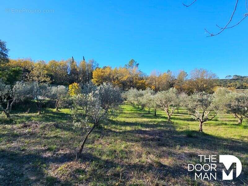 Propriété 83340 - photo 20