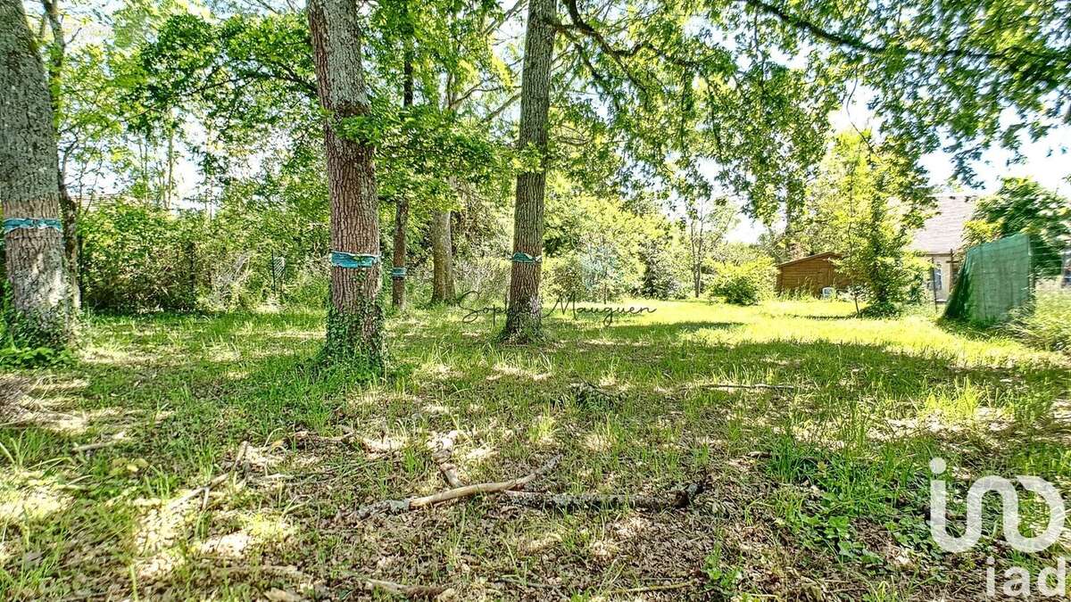 Photo 3 - Terrain à MONTIGNY-LENCOUP