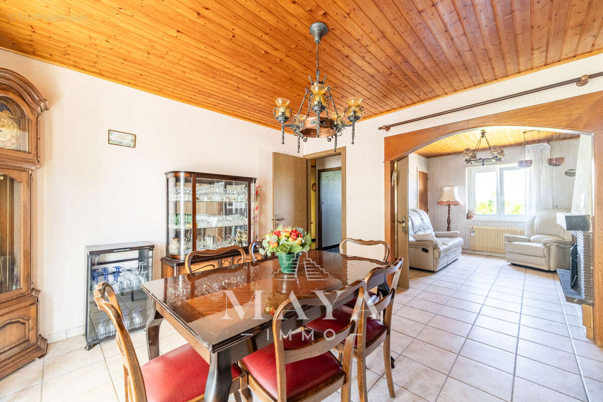 DANNEMARIE, Maison plain-pied de 81m2 sur 12,44 ares. - photo 3
