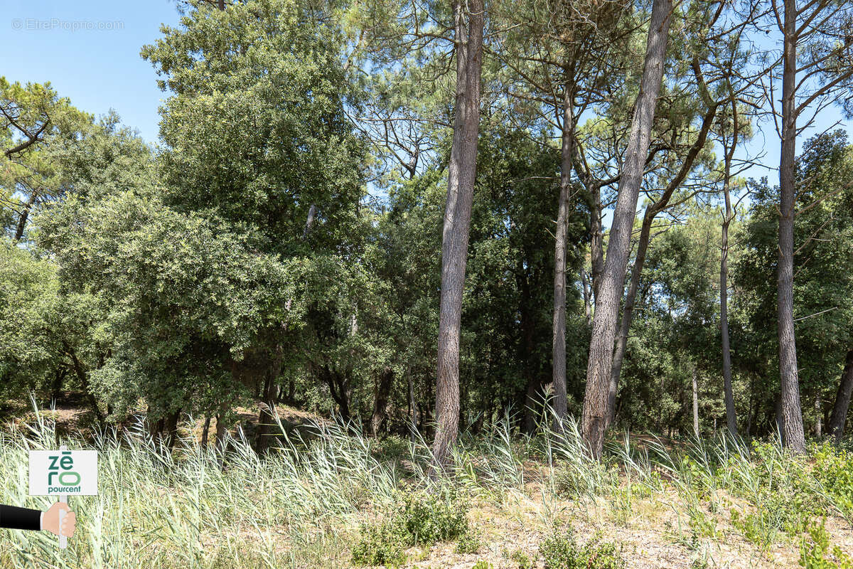 Terrain à LA TRANCHE-SUR-MER