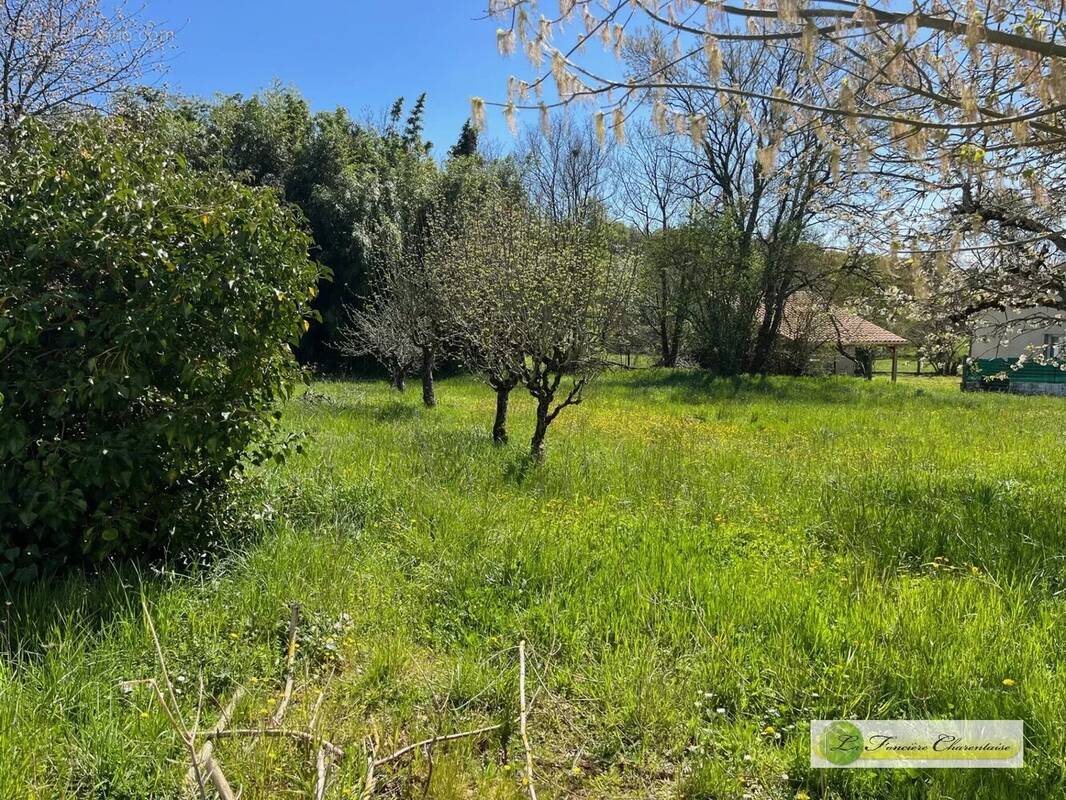 Terrain à RUELLE-SUR-TOUVRE