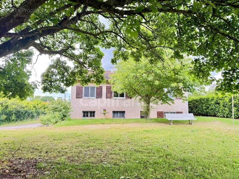 Maison familiale avec grand sous-sol, jardin arboré et vue dégagée – Proche Pont-de-Vaux - photo 6