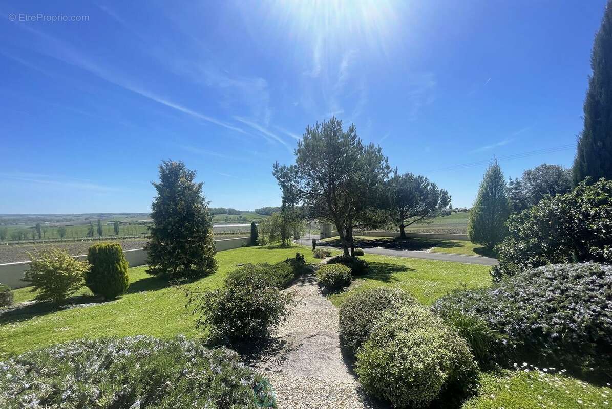Maison d'architecte et gite avec un parc arbore de + de 4000 m² - photo 5