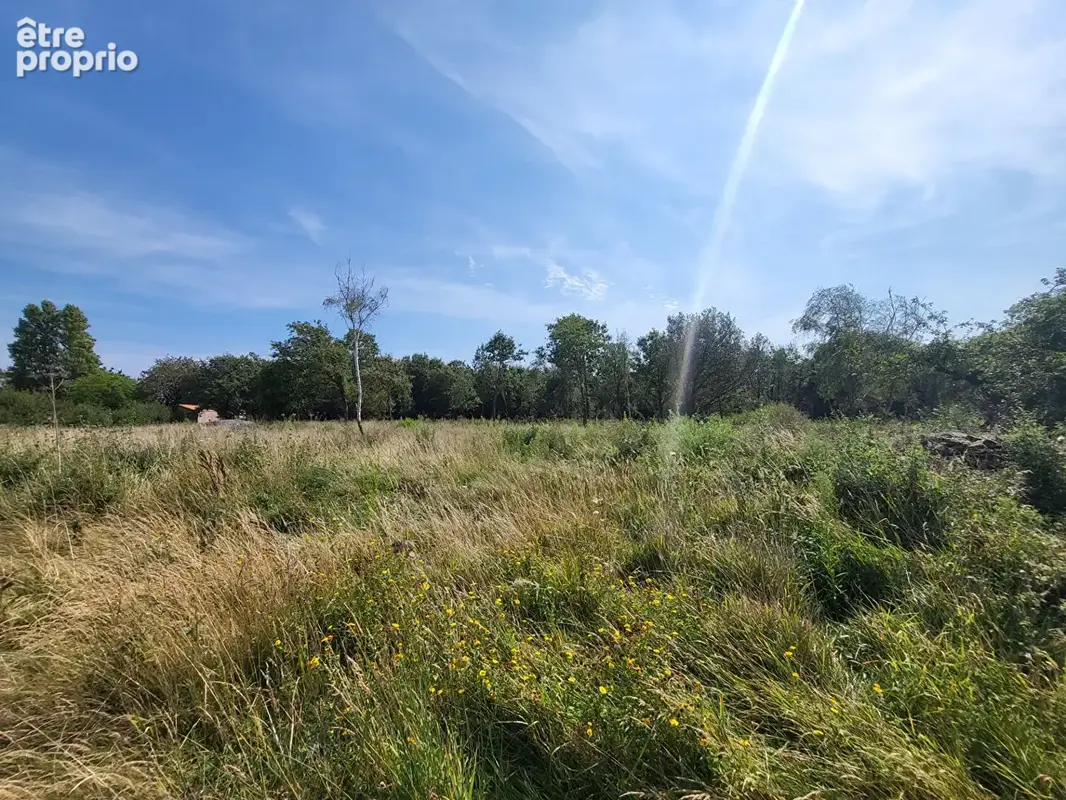 RARE bord de Mer, longère à rénover de plus de 287 m² hab. - photo 4