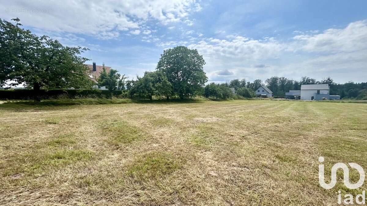 Photo 5 - Terrain à HENRIDORFF