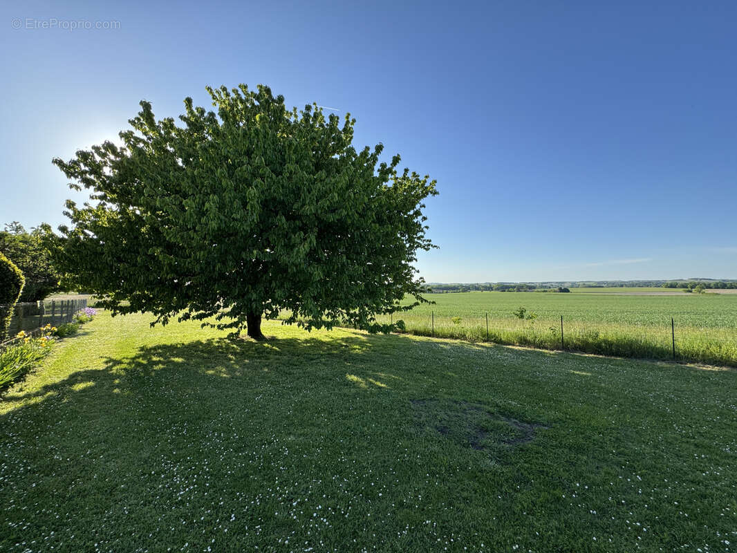 Terrain à BARBEZIEUX-SAINT-HILAIRE