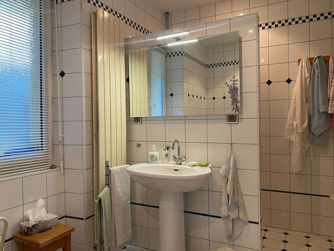 Appartement en rez de chaussée sur les hauteurs de Salins -Les-Bains - photo 11