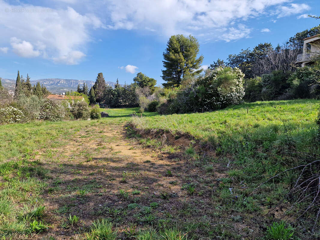 ALLAUCH - Terrains à bâtir - photo 4