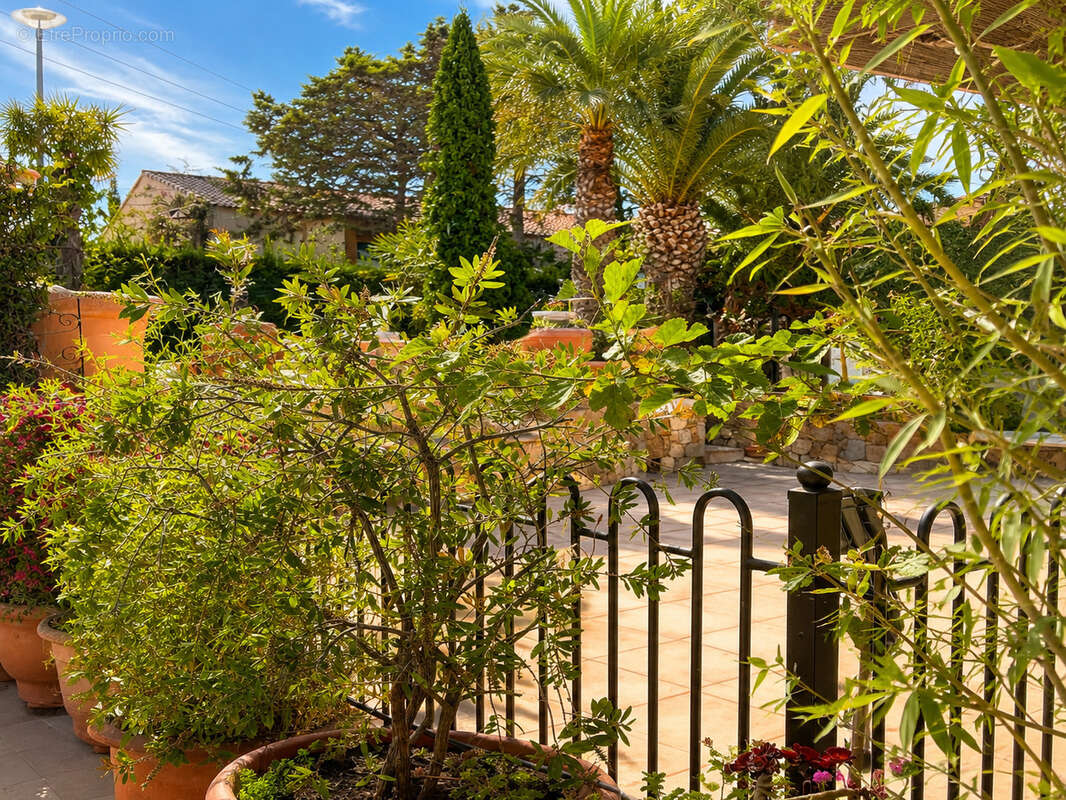 Appartement T3 - Résidence arborée avec piscine en Balagne - photo 8