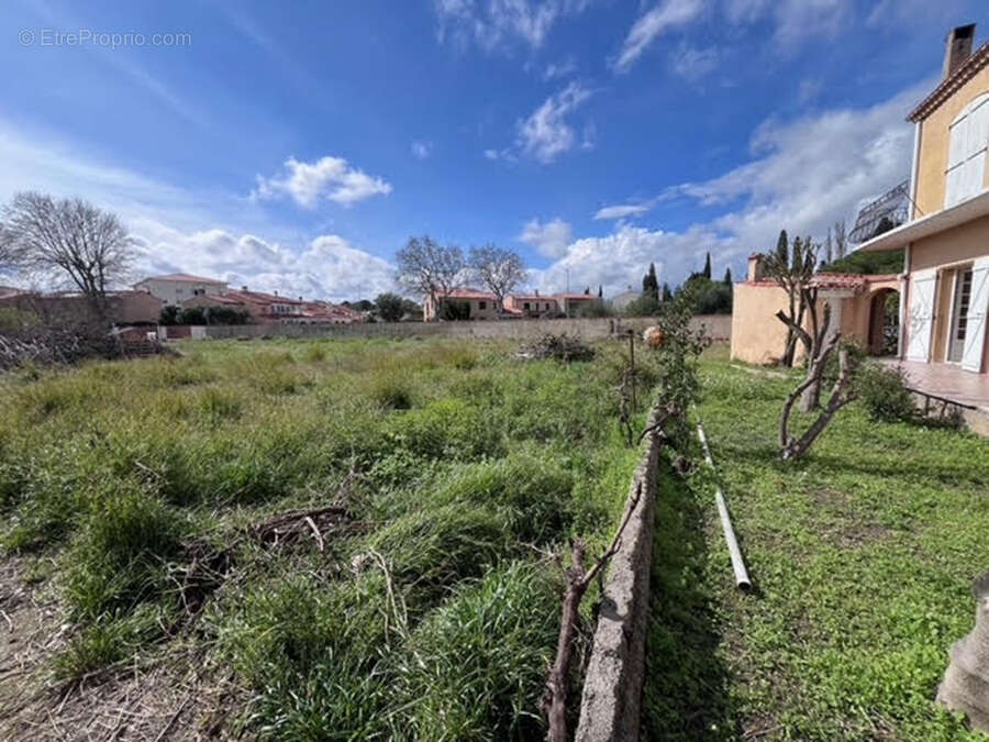 Maison à RIVESALTES