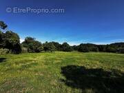 Terrain à SAINT-RAPHAEL