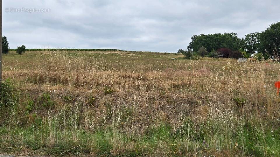 Terrain à SAINT-SAVIN
