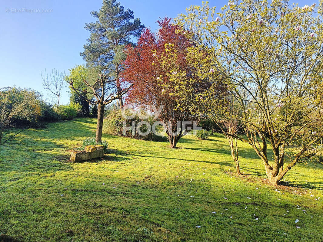 Maison à FONTENAY-LE-COMTE