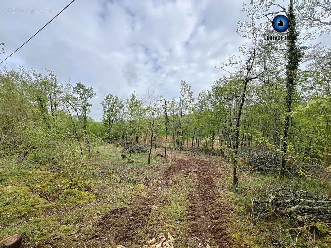 Terrain à LA DORNAC